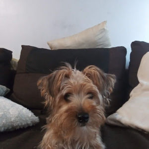 Meet your Posher, Margarita